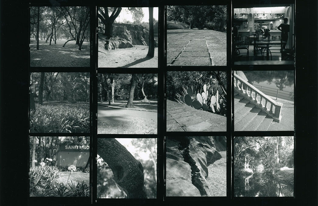 wo waren wir stehen geblieben… CDMX